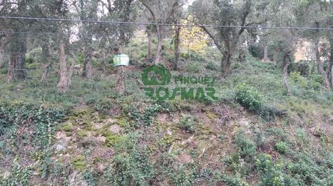TERRENO EDIFICABLE DE 1.405 M EN SERRA BRAVA  LLORET DE MAR, imatge 2