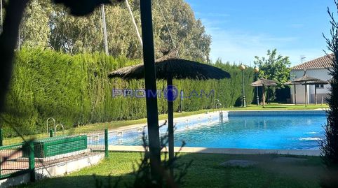 Foto 2 de Piso en venta en Alcalde Angel Oliveros, Gelves, Sevilla