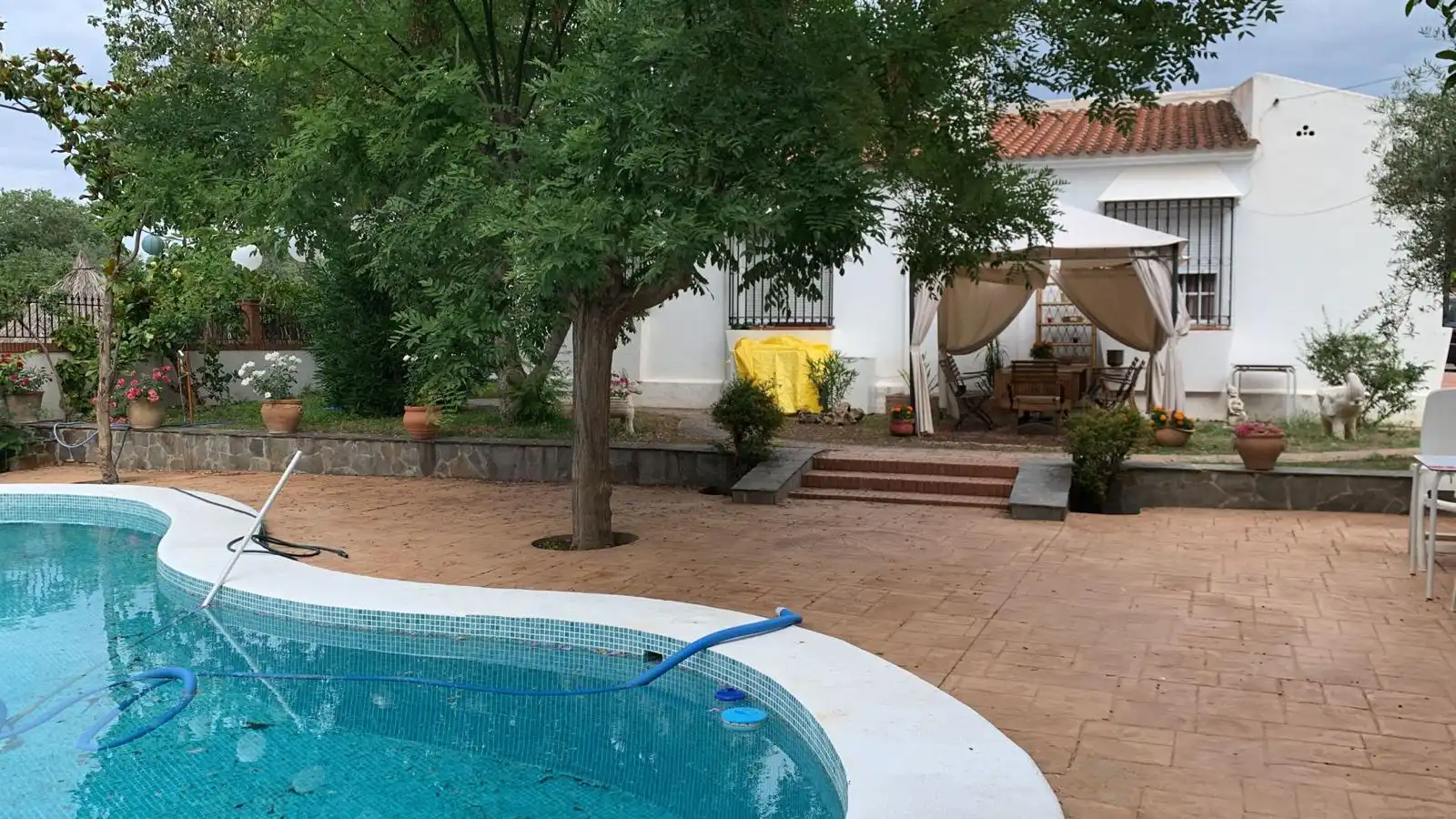 Piscina de Casa o chalet en venta en Alhaurín El Grande con Jardín privado, Terraza y Piscina