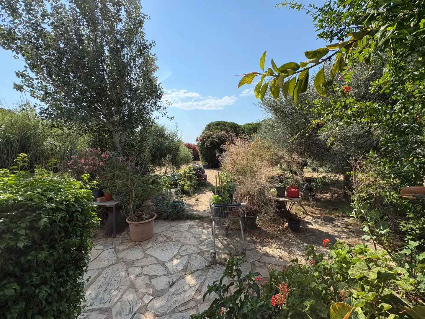 Terreno en venta en POBLAS, 39, Platja de Mont-roig