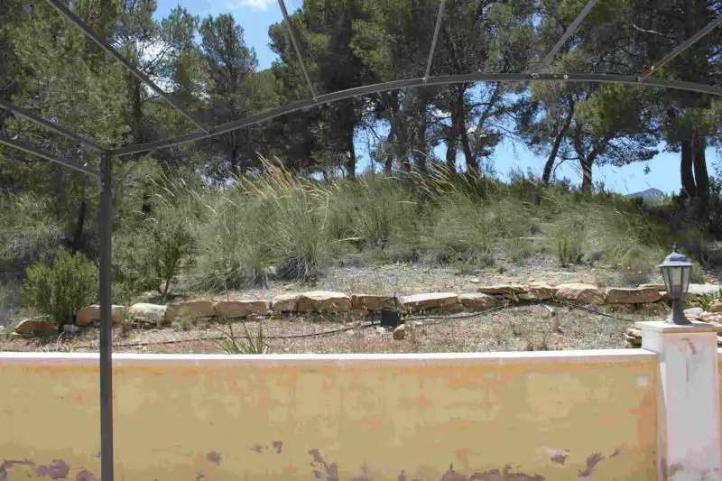 Villa avec jardin à vendre à Fortuna, imagen 13
