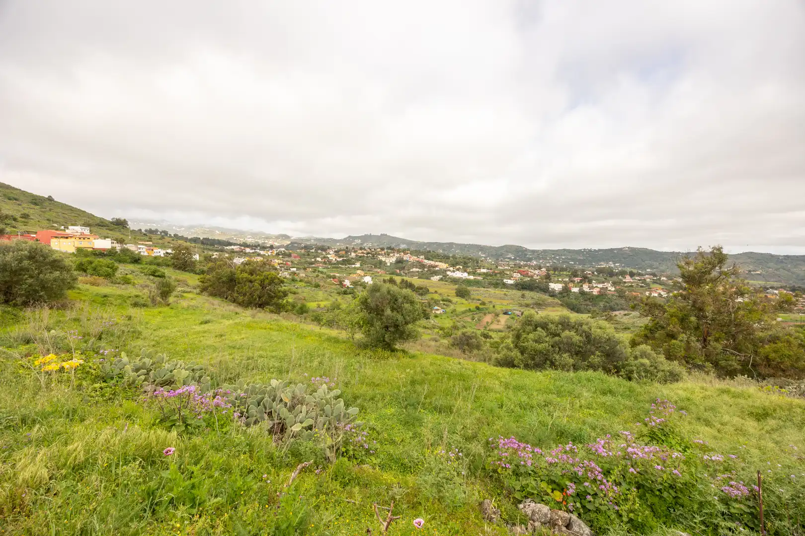 Country homes for sale in Santa Brígida  with Private garden and Terrace