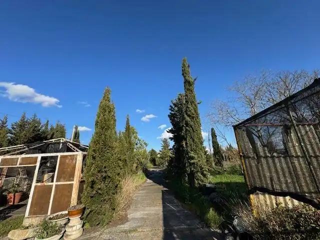 Jardín de Finca rústica en venta en Coreses
