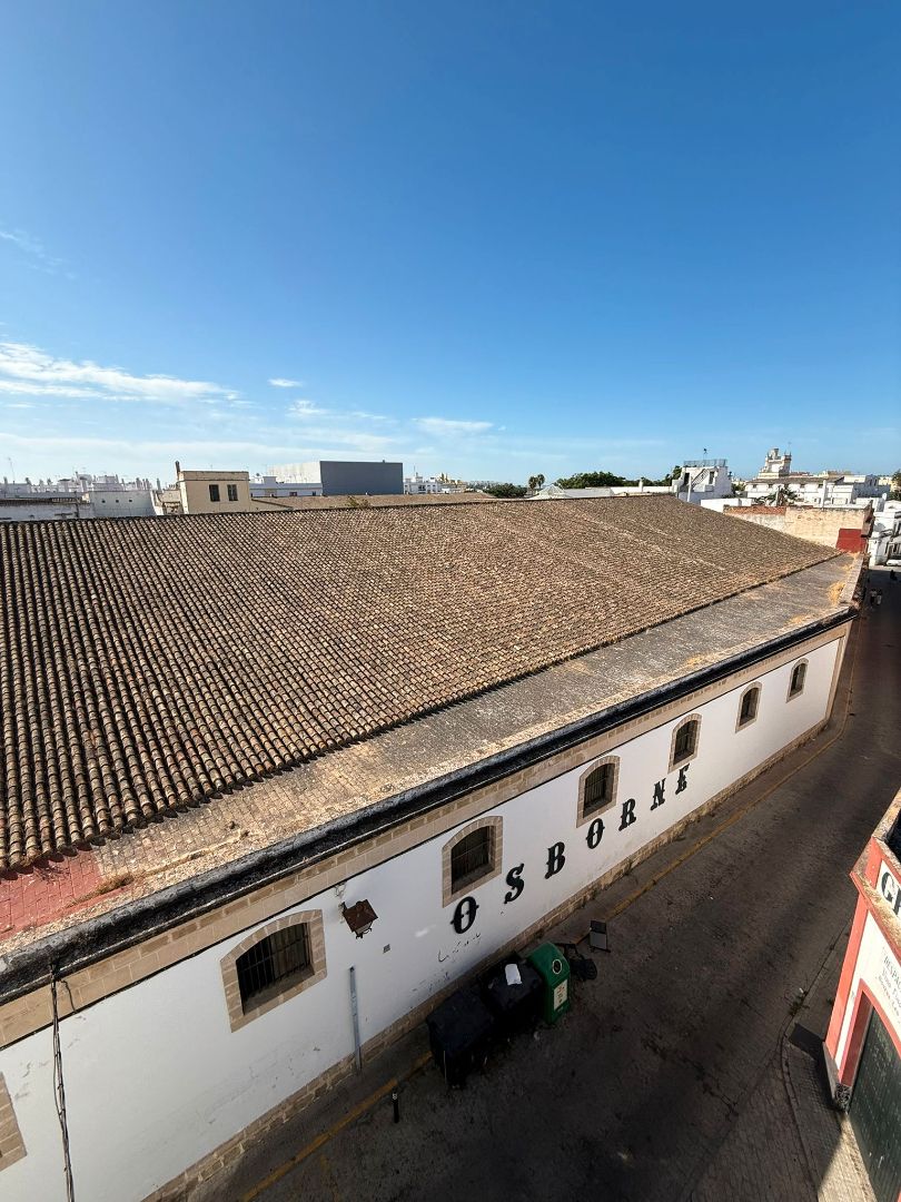 Vista exterior de Casa o xalet en venda en El Puerto de Santa María amb Terrassa, Traster i Moblat