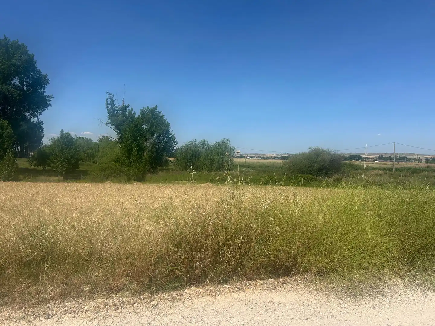 Land for sale in Fuente El Saz de Jarama