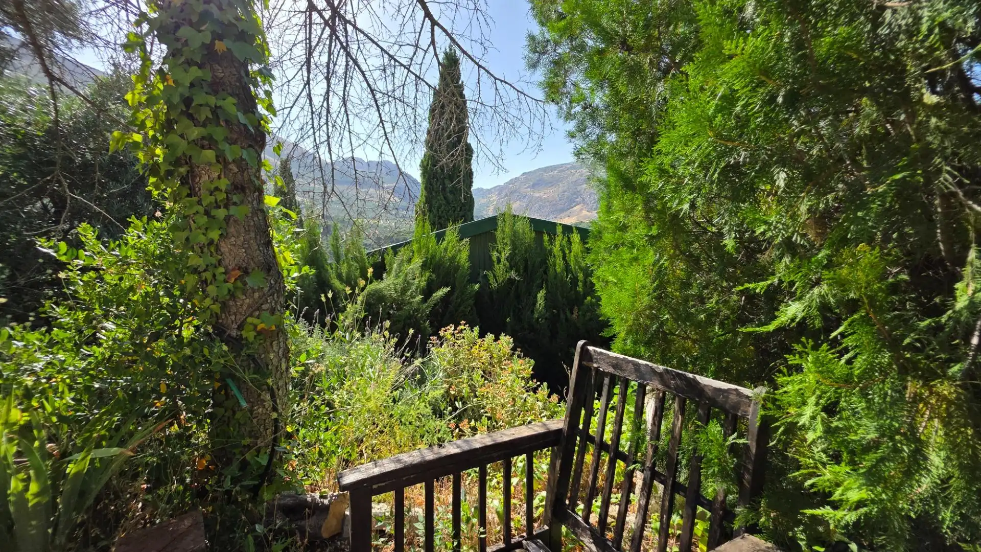 Jardí de Finca rústica en venda en Jaén amb Calefacció, Jardí privat i Terrassa