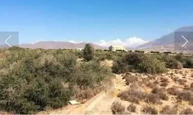 Terreno residenziale in vendita a El Ejido Ciudad, imagen 2