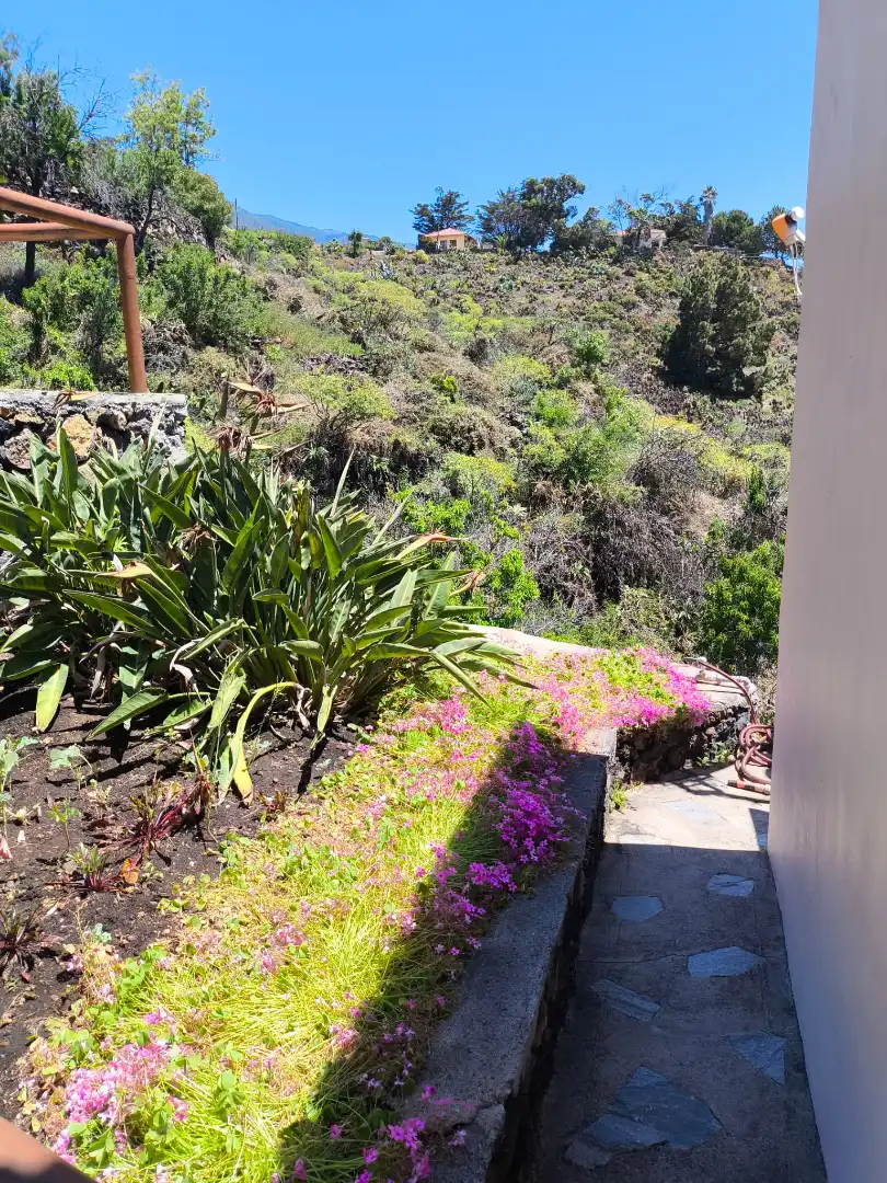 Jardí de Casa o xalet en venda en El Paso amb Aire condicionat, Calefacció i Jardí privat