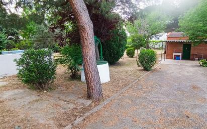 Jardí de Residencial en venda en Valdetorres de Jarama