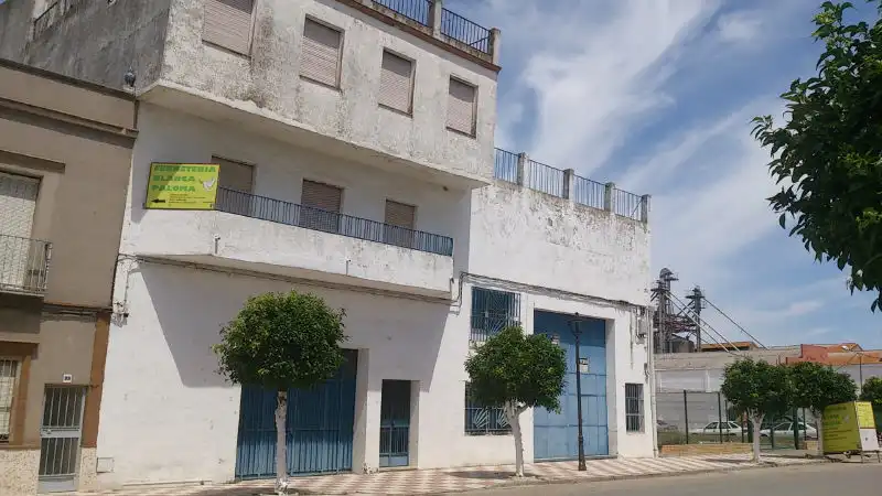 Vista exterior de Pis en venda en Isla Mayor
