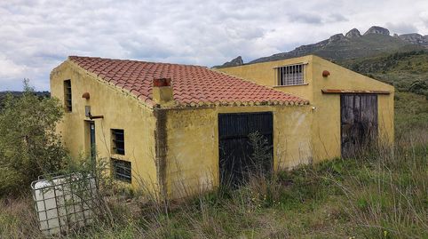 Casa Rustica y finca de olivos arbequina de 68.054m con pozo de agua en partida Sinyoles de la La Sénia Tarragona., imatge 3