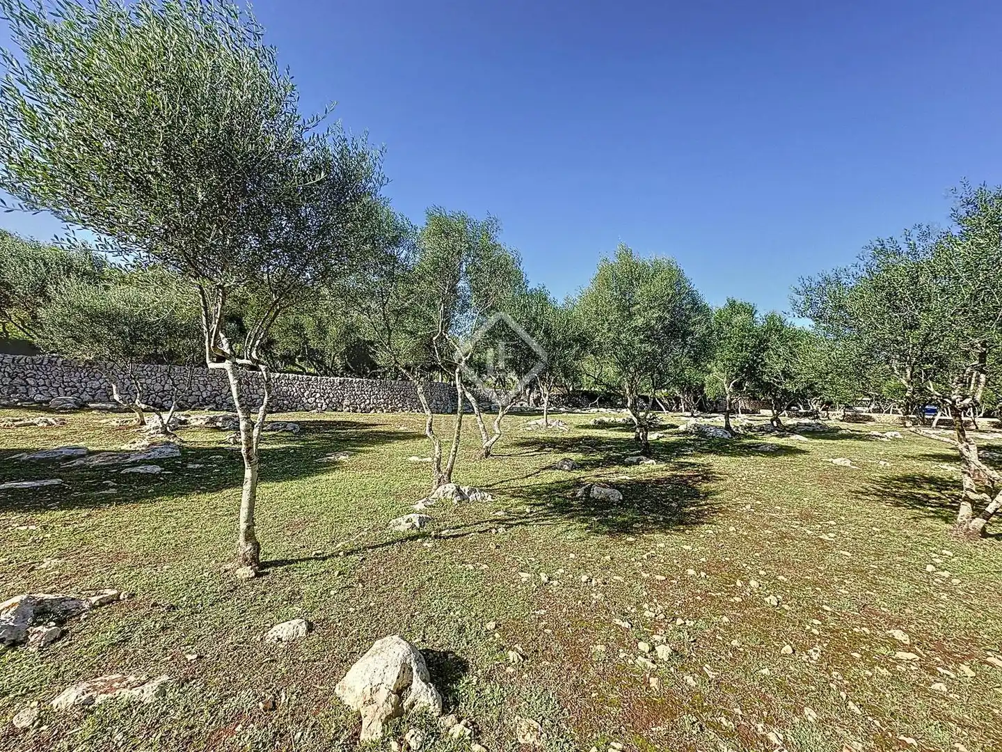 Casa rustica con terrazza in vendita a Sant Lluís - S'Ullestrar - Torret, imagen 73