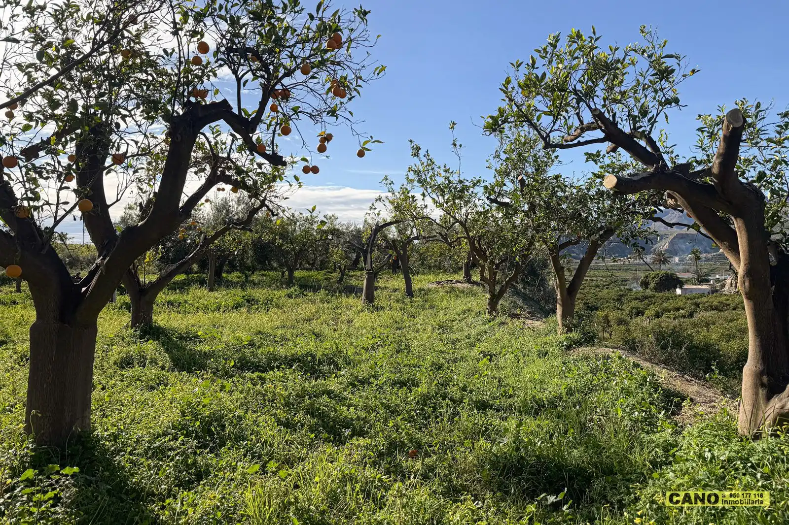 Casa o xalet en venda a a Paulenca/ Paraje Aneal , Gádor