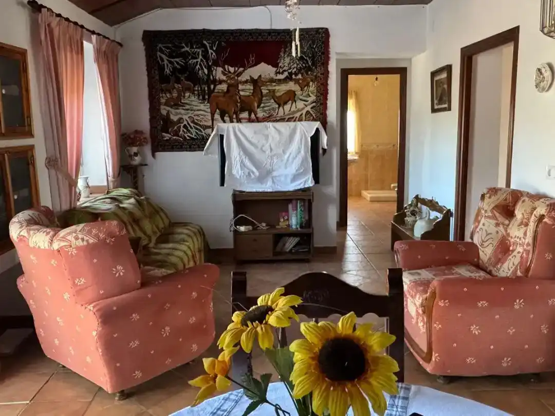 Sala d'estar de Pis en venda en Cabeza del Buey amb Jardí privat i Traster