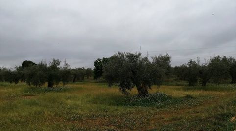 Terreno en venta en Hellín, Bild 2