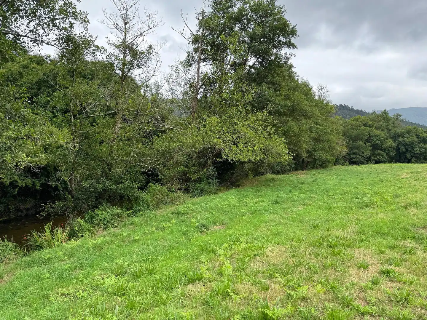 Land for sale in Mondoñedo