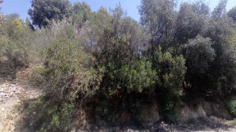 Photo 4 of Residential for sale in Segadors, 43, Sant Muç, Rubí