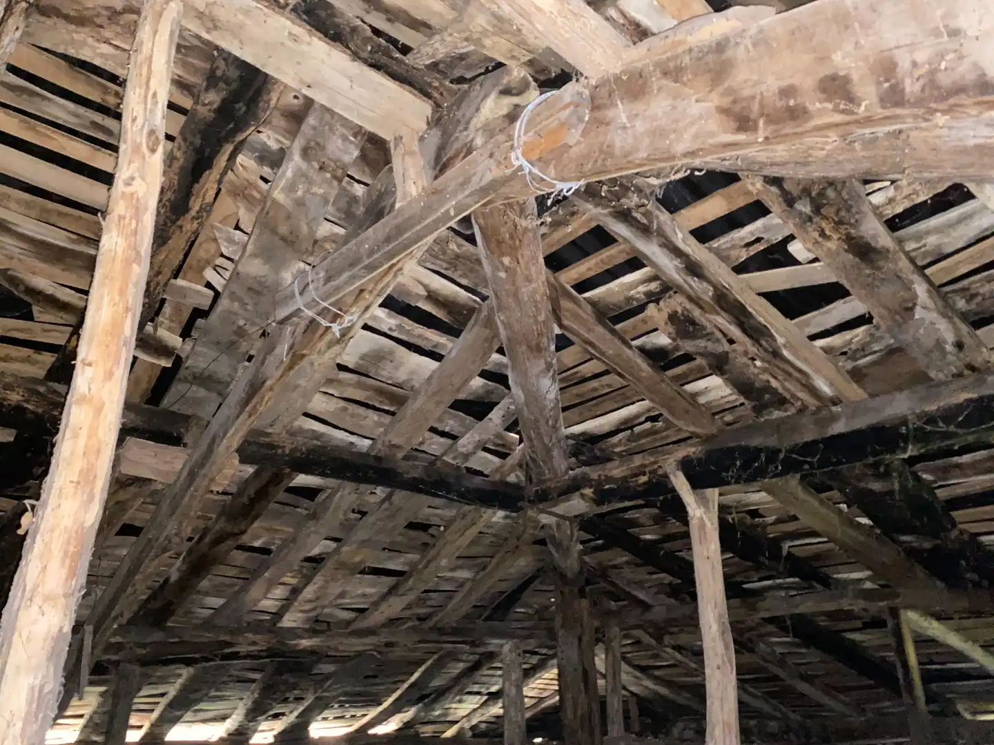Maison avec jardin à vendre à Tresmonte, imagen 45