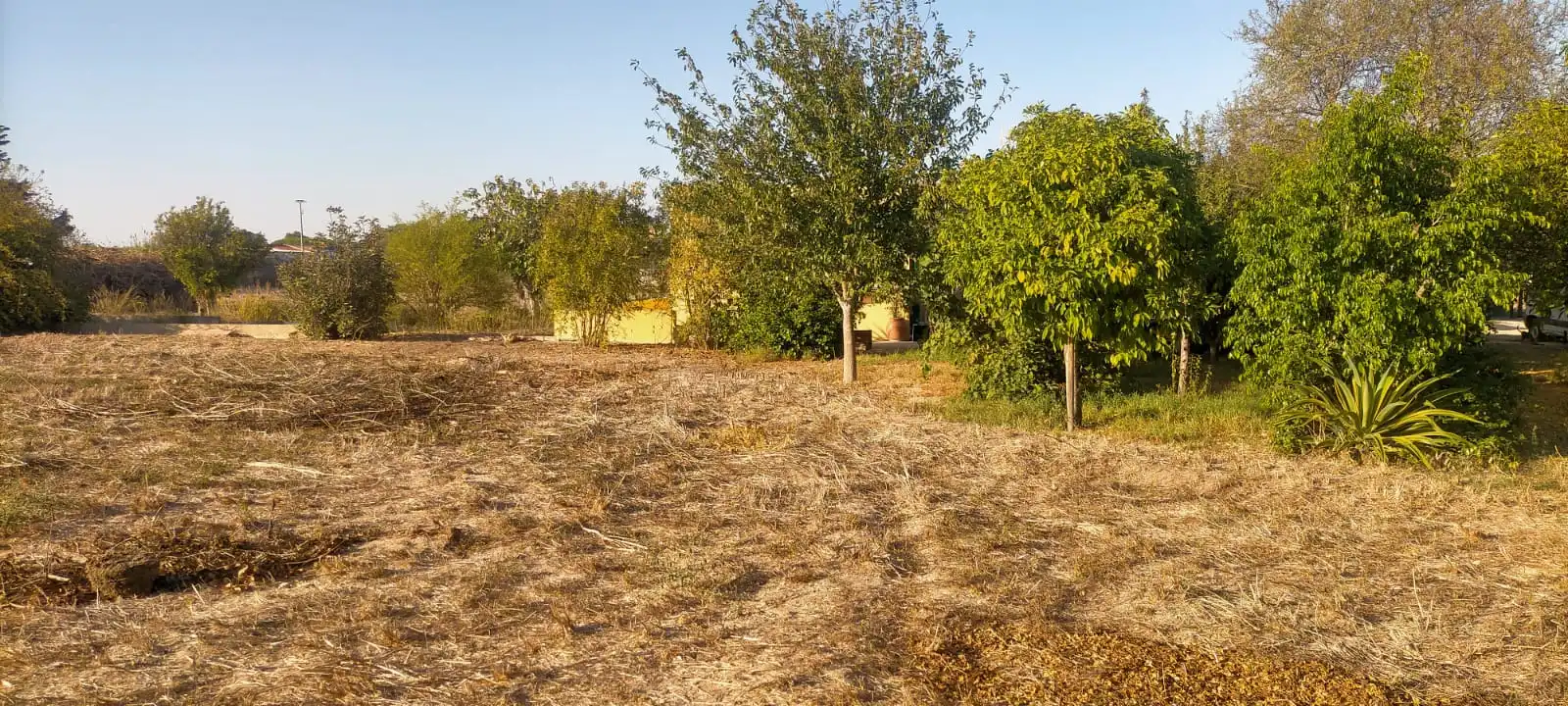 Rural land for sale in El Juncal - Vallealto, imagen 9