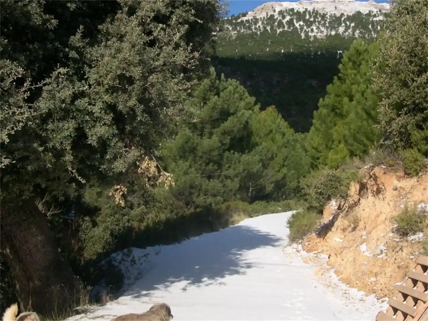 Vista exterior de Finca rústica en venda en Yeste amb Jardí privat, Traster i Piscina
