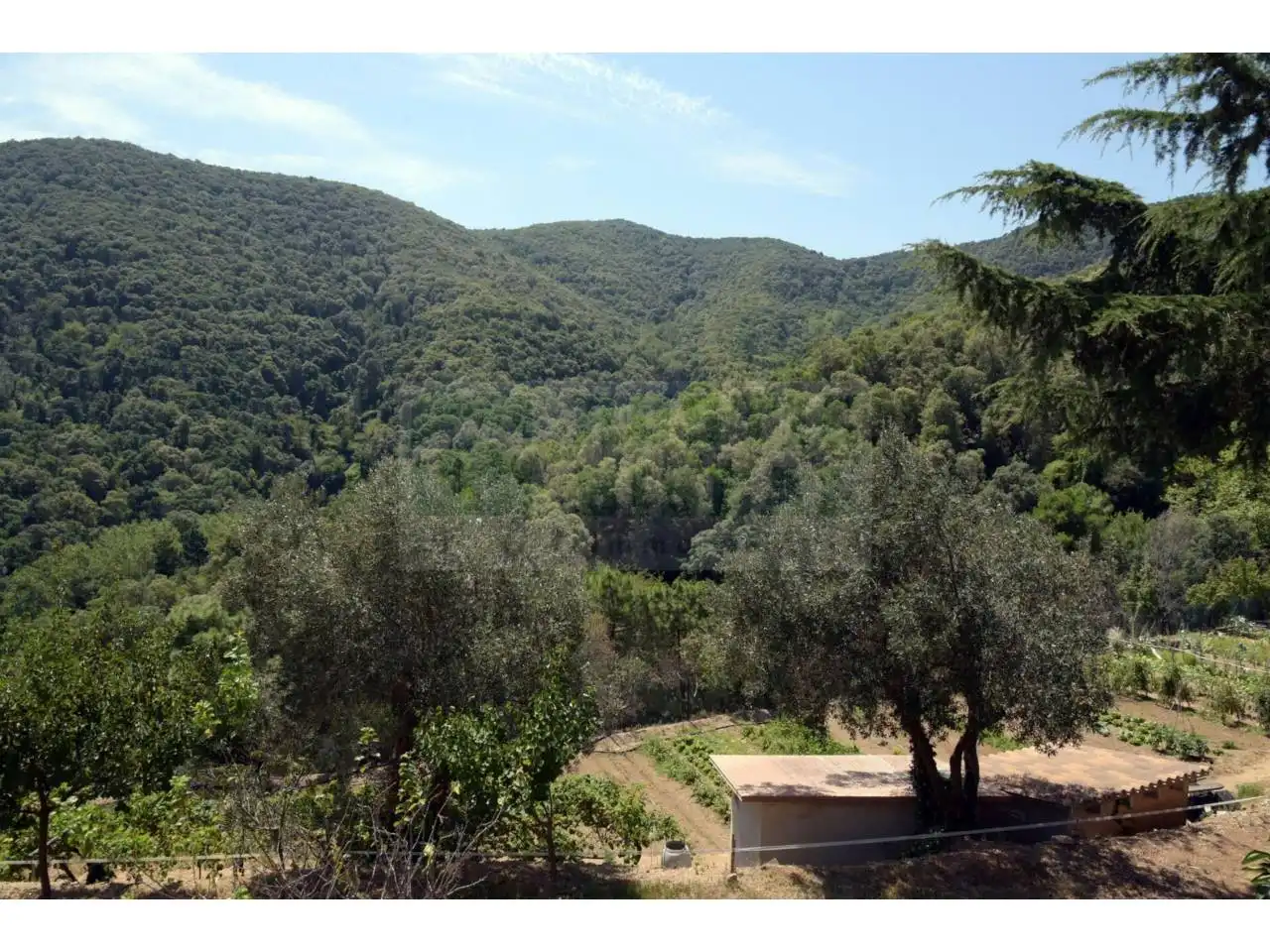 Jardí de Finca rústica en venda en Tordera amb Calefacció i Piscina