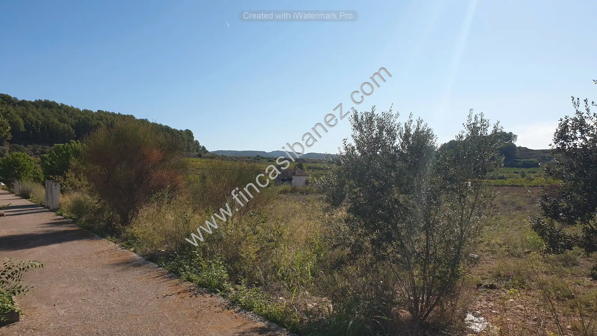 Terreno industriale in vendita a Carrer Tallers, imagen 5