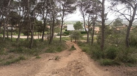Foto 3 de Terreno en venta en Torre Vella - Torre Gran - Les Dunes, L'Estartit