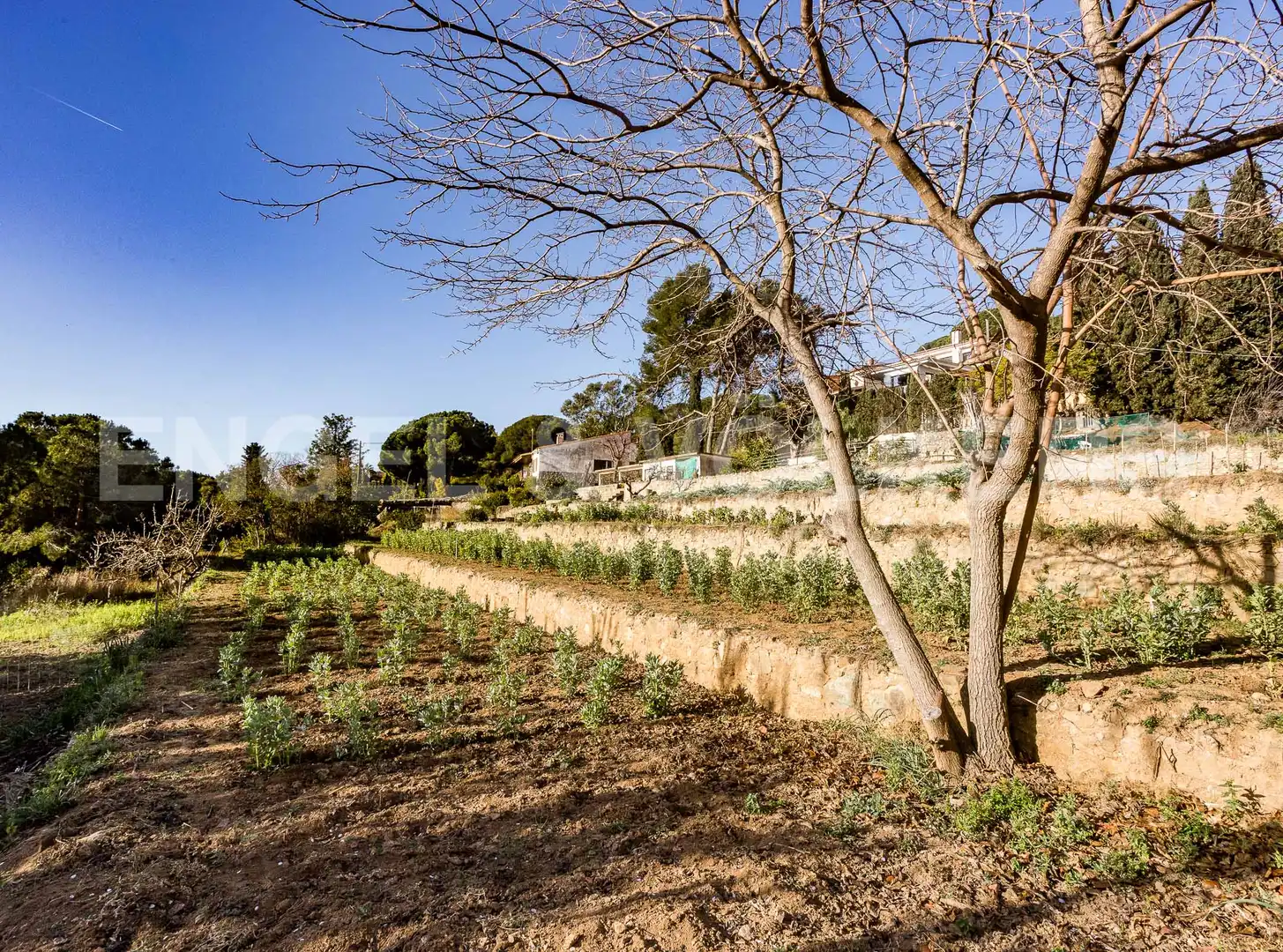 Casa amb terrassa en venda a Premià de Dalt, imagen 46