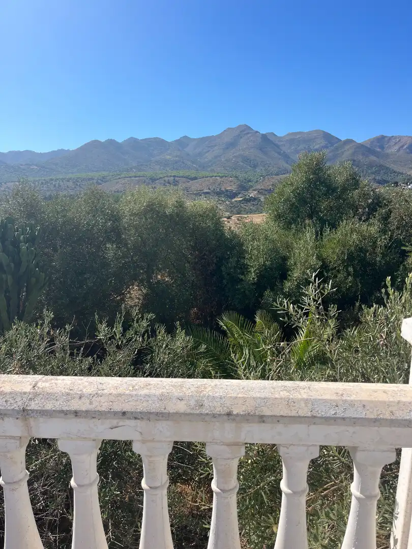 Xalet amb jardí de lloguer a Buenavista - Lauro Golf, imagen 38