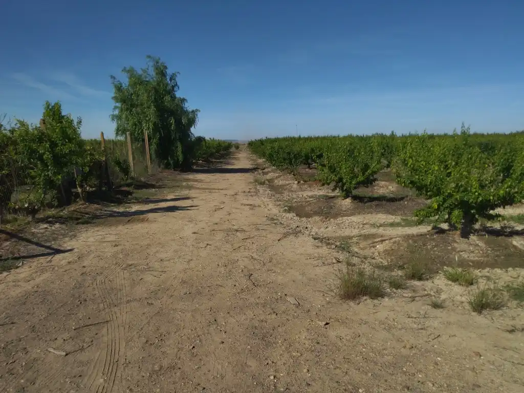 Terreno en venta en Campo Lugar