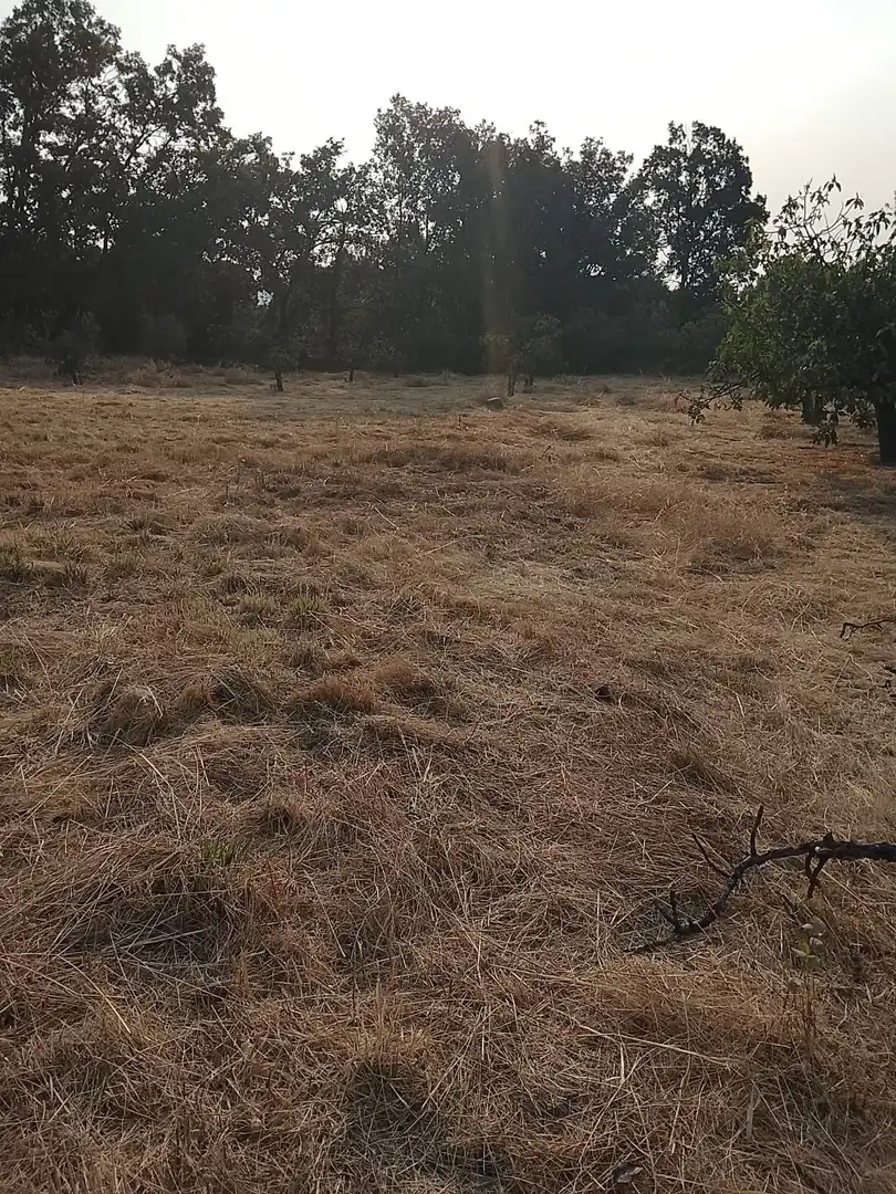 Terreni e lotti in vendita a Villanueva de la Vera, imagen 16
