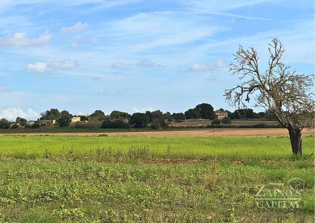 Terreno en Venta en Vilafranca de Bonany