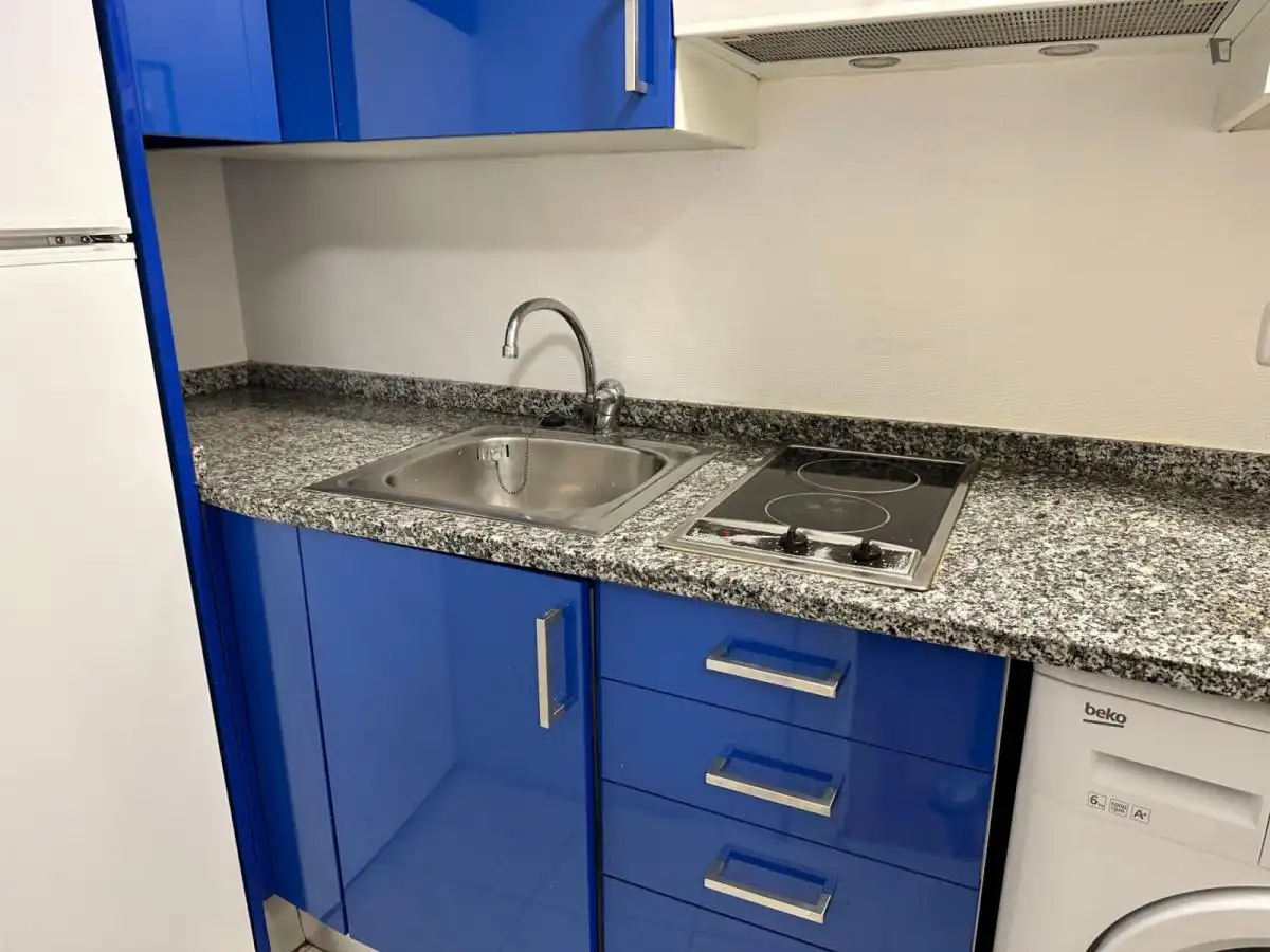 Estudio de alquiler en Embajadores - Lavapiés