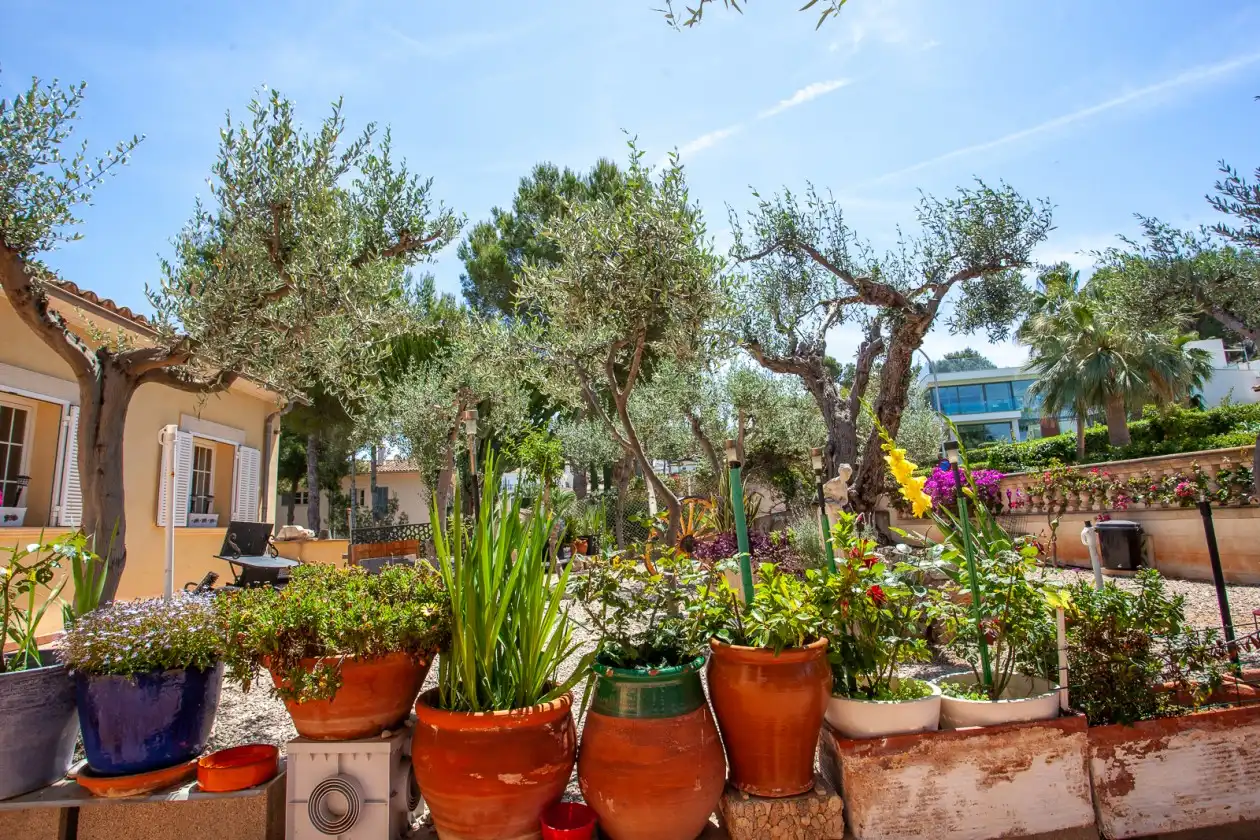 Terrace of Houses for sale in Calvià