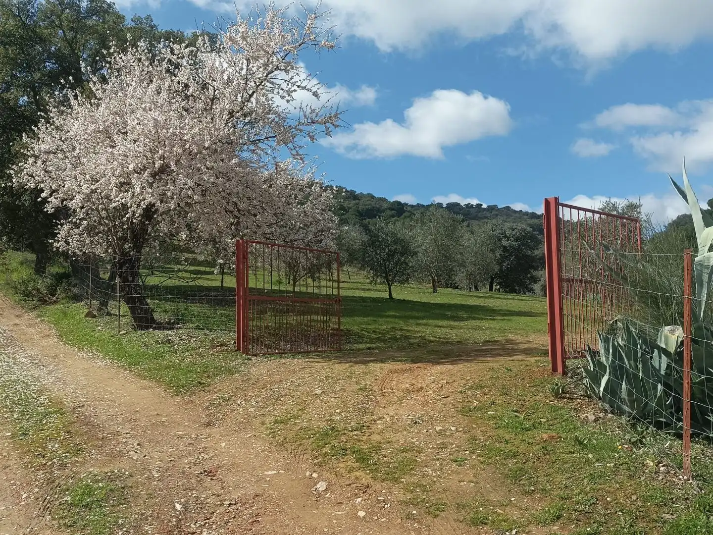 Land for sale in Villanueva del Rey