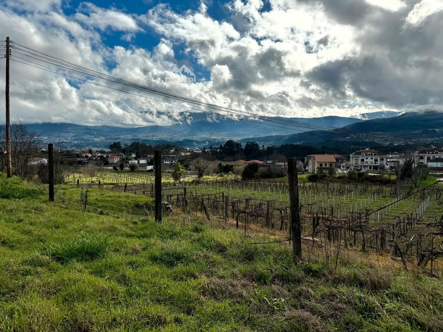 Rural land for sale in Arbo, imagen 20