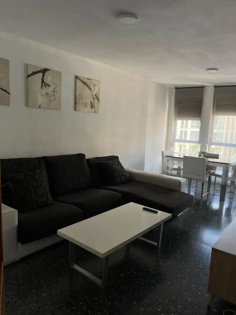 Sala de estar de Piso de alquiler en Elche / Elx con Jardín privado, Terraza y Amueblado