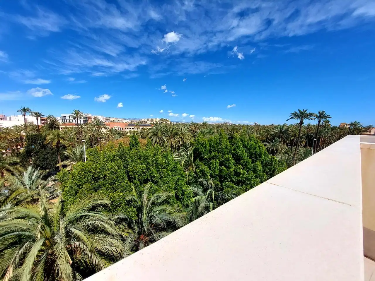 Penthouse mit Aufzug zur Miete in Elche ciudad, imagen 3