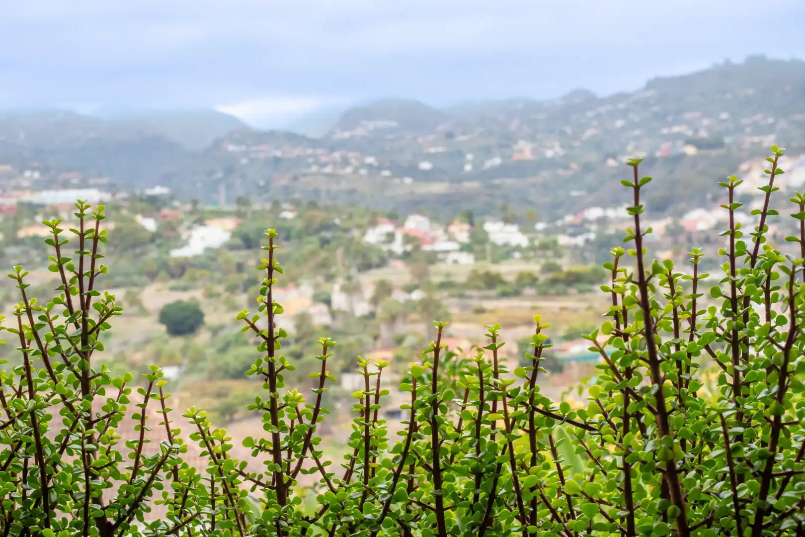 Vista exterior de Casa o chalet en venta en Santa Brígida con Jardín privado, Terraza y Trastero