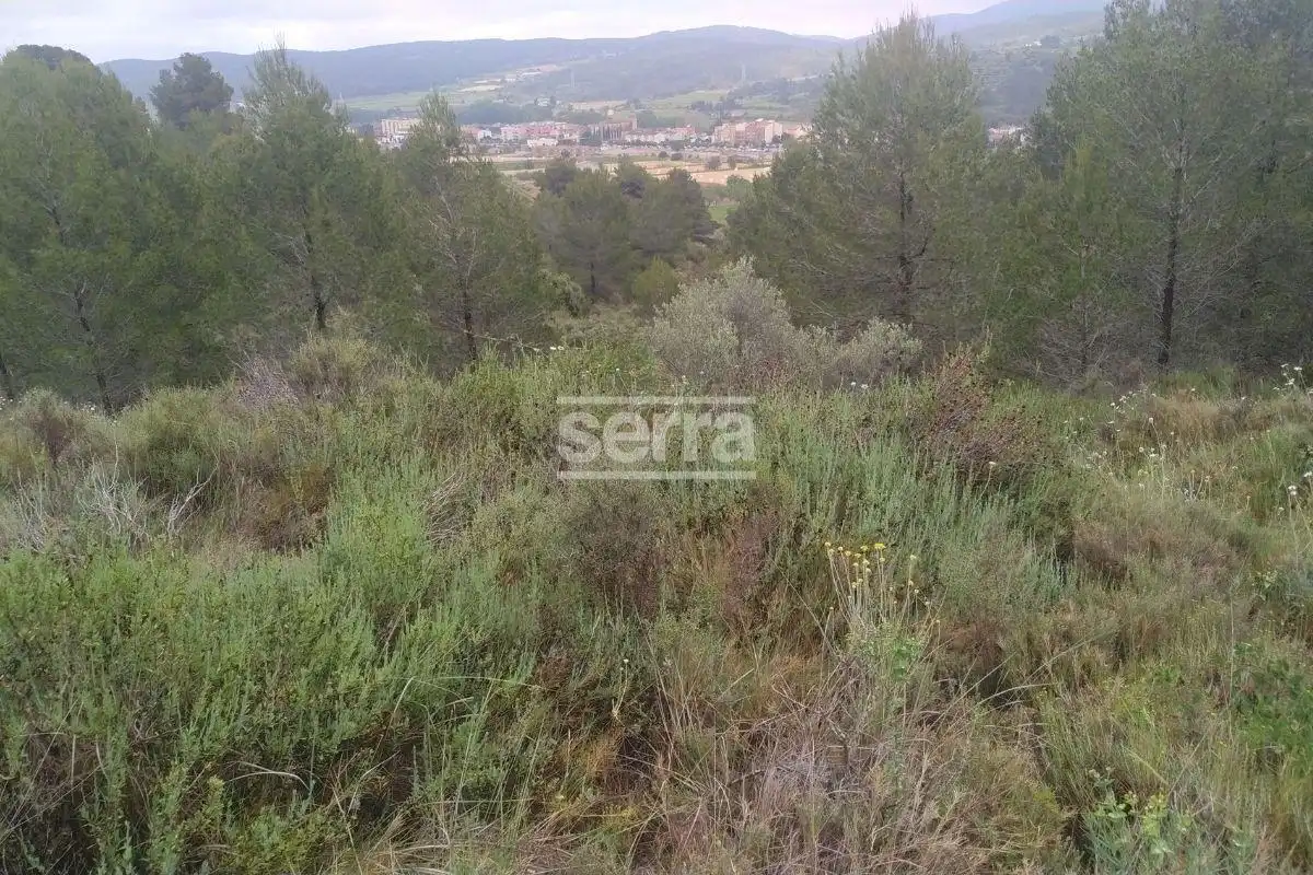 Land for sale in Torrelles de Foix