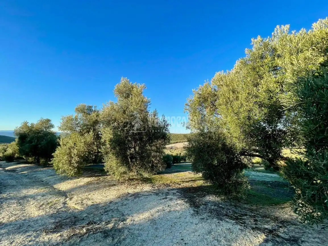 Terrenos y solares en venta en Úbeda, imagen 4