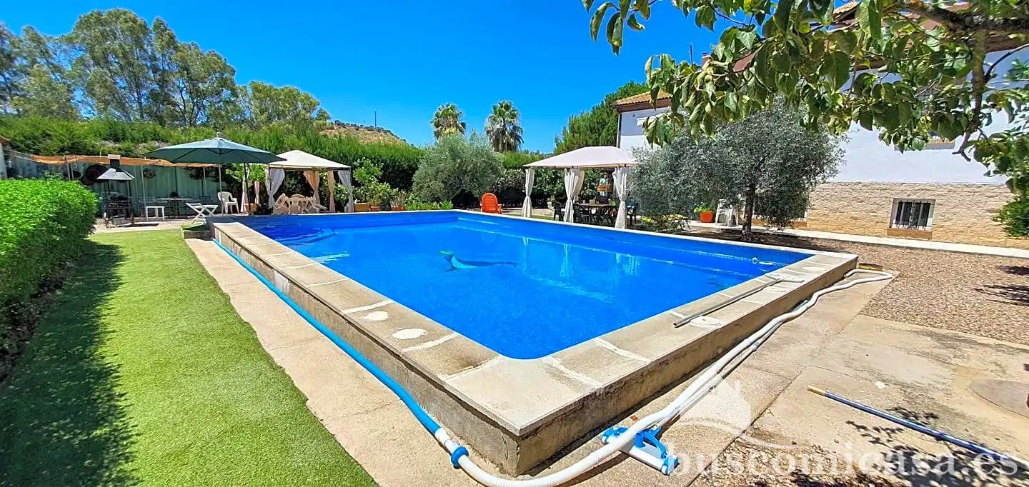 Piscina de Casa o xalet en venda en Linares amb Aire condicionat, Calefacció i Jardí privat
