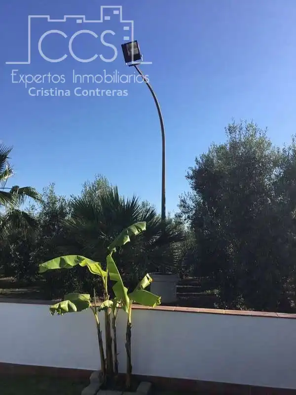 Casa rustica con piscina in vendita a Pilas, imagen 73