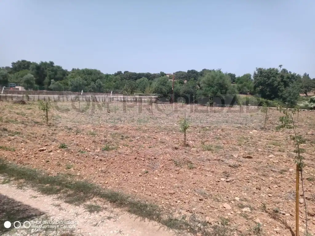 Houses for sale in Costitx