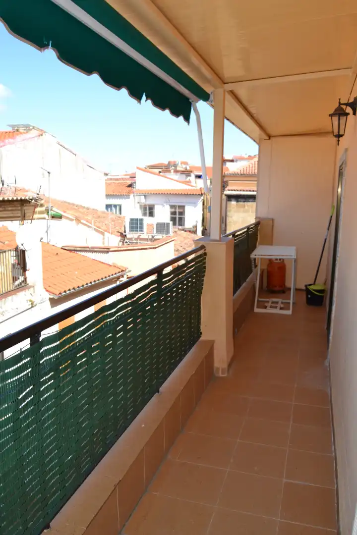 Attic for rent in Centro Ciudad