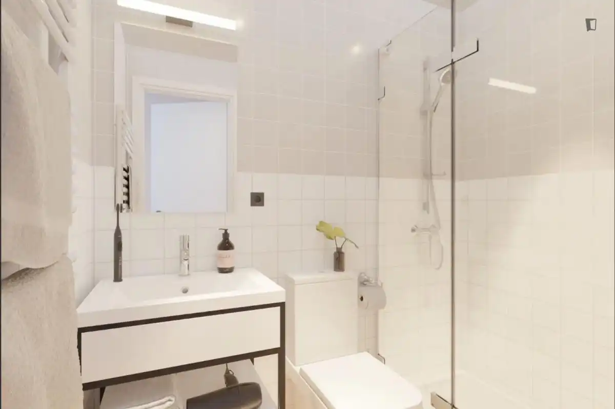Bathroom of Flat for share in  Pamplona / Iruña  with Air Conditioner, Furnished and Internet