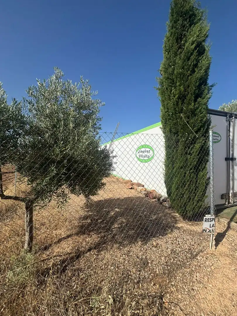 Rural land for sale in Valdepeñas, imagen 18