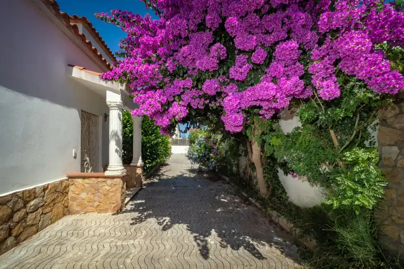 Chalet en venta en Cap Ras - Creus - Falconera, imagen 35