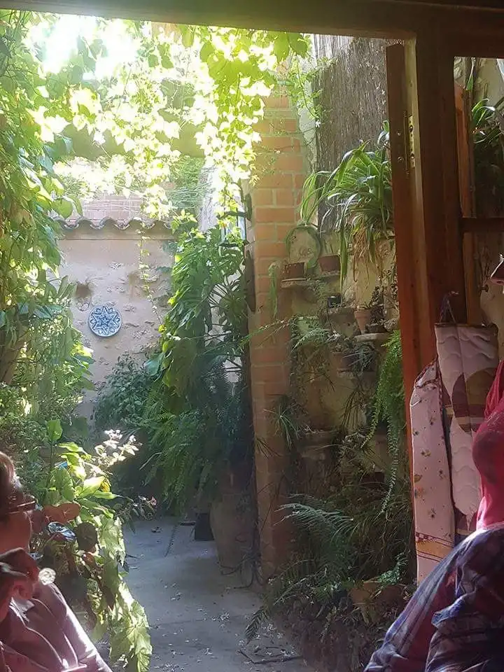 Jardín de Casa o chalet en venta en Ráfol de Salem con Aire acondicionado, Terraza y Amueblado