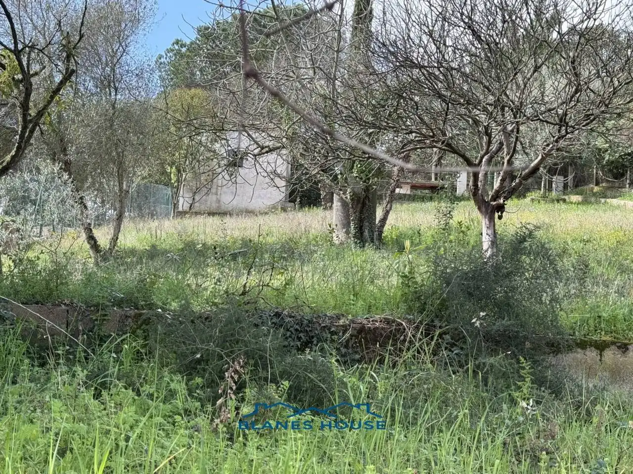 House with garden for sale in Calle Arbres 0´, imagen 4